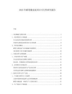 2025年蠟筆橡皮泥項目可行性研究報告