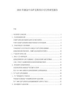 2025年漆金中音薩克斯項目可行性研究報告