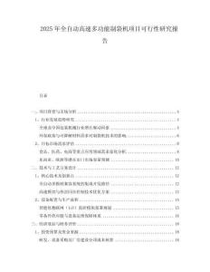2025年全自動高速多功能制袋機項目可行性研究報告