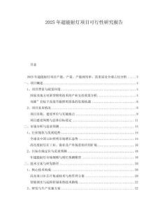 2025年超能射燈項目可行性研究報告