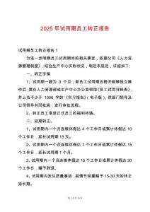 2025年試用期員工轉(zhuǎn)正報(bào)告