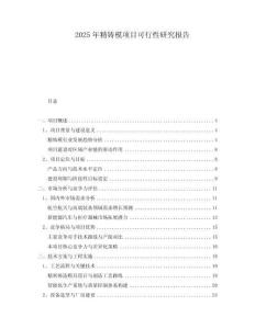 2025年精鑄模項目可行性研究報告