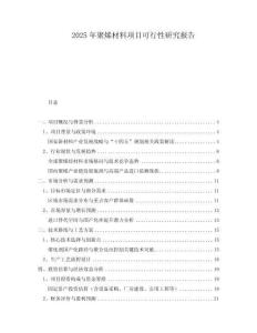 2025年聚烯材料項目可行性研究報告