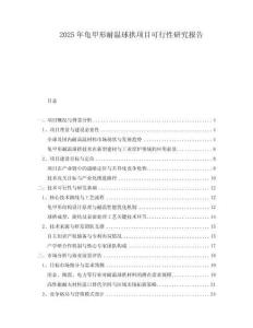 2025年龜甲形耐溫球拱項目可行性研究報告