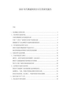 2025年汽摩濾網(wǎng)項目可行性研究報告