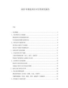 2025年薄皮項(xiàng)目可行性研究報(bào)告