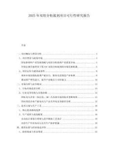 2025年雙組分粘接劑項(xiàng)目可行性研究報(bào)告