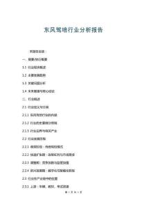 東風駕培行業分析報告