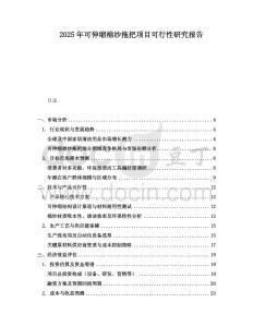 2025年可伸縮棉紗拖把項目可行性研究報告