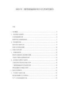 2025年二極帶接地插座項目可行性研究報告