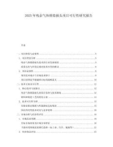 2025年殘余氣體排除插頭項目可行性研究報告