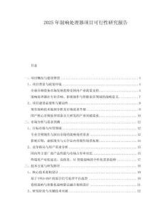 2025年混響處理器項(xiàng)目可行性研究報(bào)告