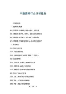 中端瓷磚行業分析報告