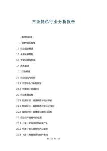 三亞特色行業(yè)分析報告