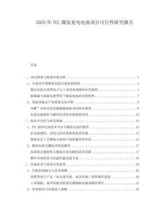 2025年TCL鎳氫充電電池項(xiàng)目可行性研究報(bào)告