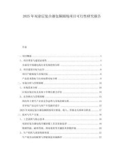 2025年雙涂層復合漆包銅圓線項目可行性研究報告