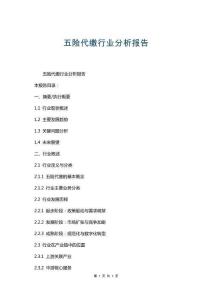 五險(xiǎn)代繳行業(yè)分析報(bào)告