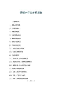 低碳水行業(yè)分析報(bào)告