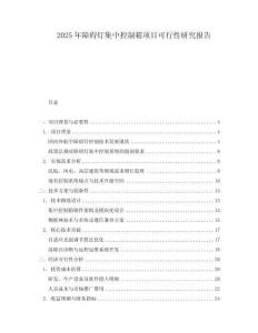 2025年障礙燈集中控制箱項(xiàng)目可行性研究報(bào)告