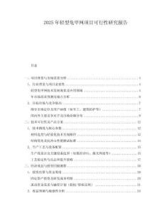 2025年輕型龜甲網(wǎng)項目可行性研究報告