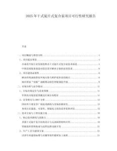 2025年干式旋片式复合泵项目可行性研究报告