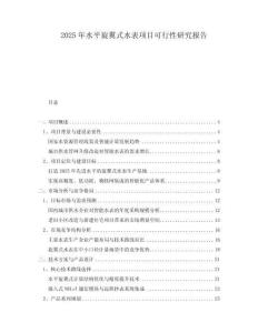 2025年水平旋翼式水表項(xiàng)目可行性研究報告