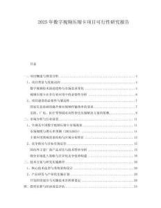 2025年數字視頻壓縮卡項目可行性研究報告