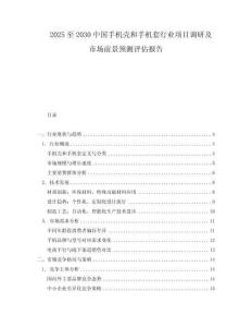 2025至2030中國(guó)手機(jī)殼和手機(jī)套行業(yè)項(xiàng)目調(diào)研及市場(chǎng)前景預(yù)測(cè)評(píng)估報(bào)告