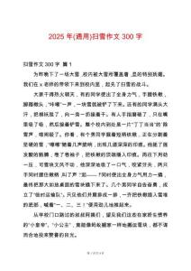 2025年(通用)掃雪作文300字
