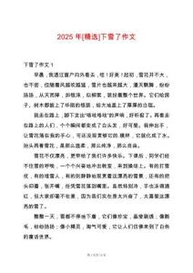 2025年[精選]下雪了作文