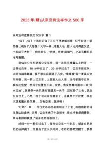 2025年(精)從來沒有這樣作文500字