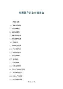 換道超車行業(yè)分析報(bào)告
