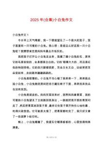 2025年(合集)小白兔作文