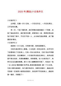 2025年(精選)小白兔作文