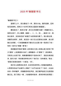 2025年“躲貓貓”作文