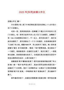 2025年[實(shí)用]放煙火作文