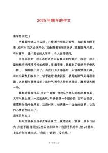 2025年乘車的作文