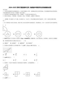 2024-2025學(xué)年寧夏回族中衛(wèi)市 海原縣中考數(shù)學(xué)對(duì)點(diǎn)突破模擬試卷含解析