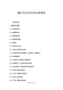 唱片行業(yè)可行性分析報告