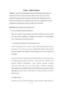 顏色：大自然的禮物