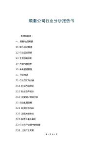 顺灏公司行业分析报告书