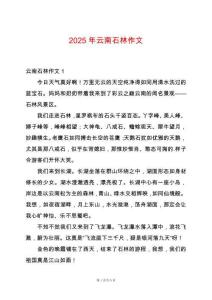 2025年云南石林作文