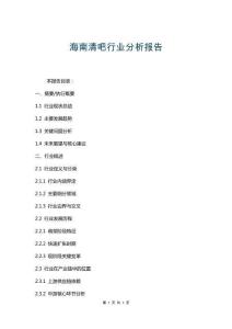海南清吧行業分析報告