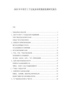 2025年中國手工千層底童布鞋數據監(jiān)測研究報告