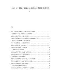 2025年中國氦-鎘激光功率指示儀數據監測研究報告
