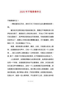 2025年不悔青春作文