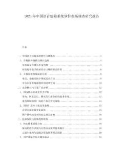 2025年中國(guó)語(yǔ)音信箱系統(tǒng)軟件市場(chǎng)調(diào)查研究報(bào)告