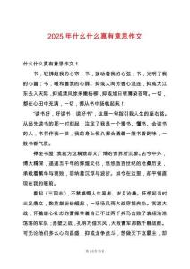 2025年什么什么真有意思作文
