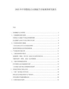 2025年中國(guó)散裝點(diǎn)火器扳手市場(chǎng)調(diào)查研究報(bào)告