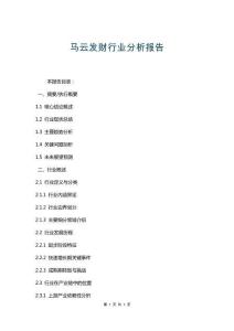 馬云發(fā)財(cái)行業(yè)分析報(bào)告